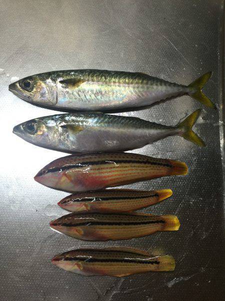 台風の合間の晴れた日に